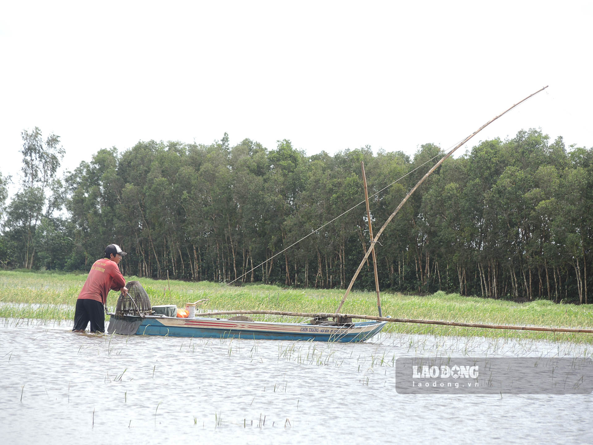 Mùa nước nổi ở Ngã Năm (Sóc Trăng) có hàng chục hộ đẩy côn bắt cá đồng. Ảnh: Phương Anh