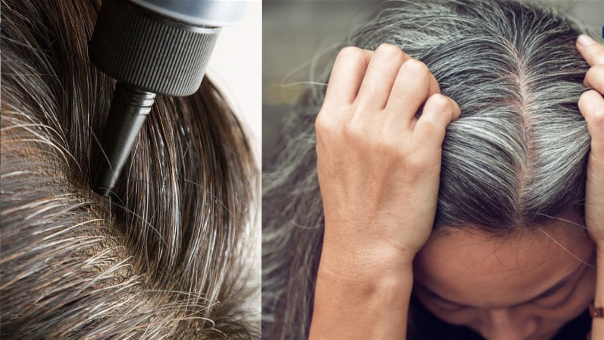 Thợ làm tóc – nguy cơ ung thư, suy đường hô hấp,... cao nhất trong các  ngành nghề -