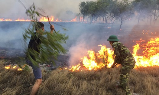 Các lực lượng dùng cành cây nỗ lực dập lửa để ngăn đám cháy lan rộng trên các đồng cỏ. Ảnh: BP.