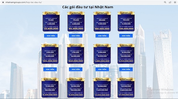 Các gói hợp tác kinh doanh tại  Công ty bất động sản Nhật Nam có giá trị từ 20 triệu đồng đến 40 tỉ đồng. Ảnh chụp màn hình