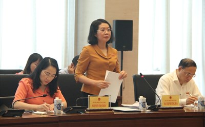 Phó Chủ nhiệm Ủy ban Tư pháp Mai Thị Phương Hoa. Ảnh: Ái Vân