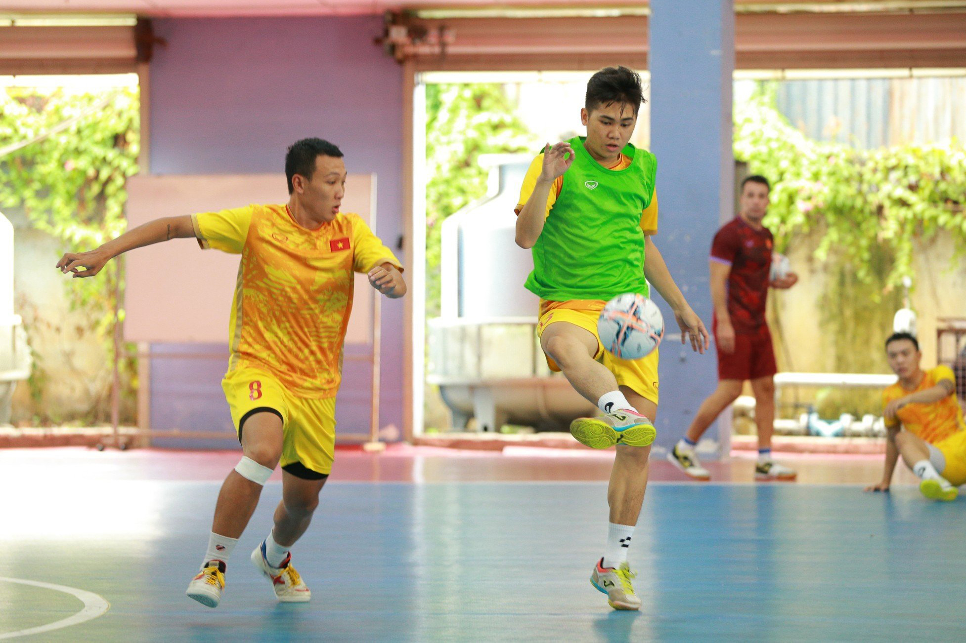 Đợt tập trung này, đội tuyển Việt Nam sẽ có hai trận giao hữu rất chất lượng trước Hungary (hạng 28 thế giới) và Nga (hạng 4) lần lượt diễn ra vào ngày 17 và 19.9 tại nhà thi đấu Quận 8 (TPHCM).