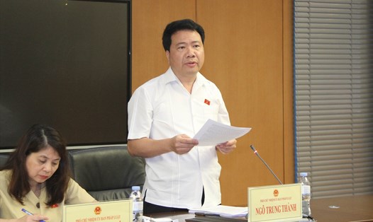 Phó Chủ nhiệm Ủy ban Pháp luật Ngô Trung Thành trình bày Báo cáo thẩm tra sơ bộ. Ảnh: Minh Trang