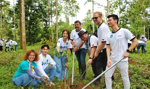500 cây gỗ được mọi người trồng tại rừng Đồng Nai. 