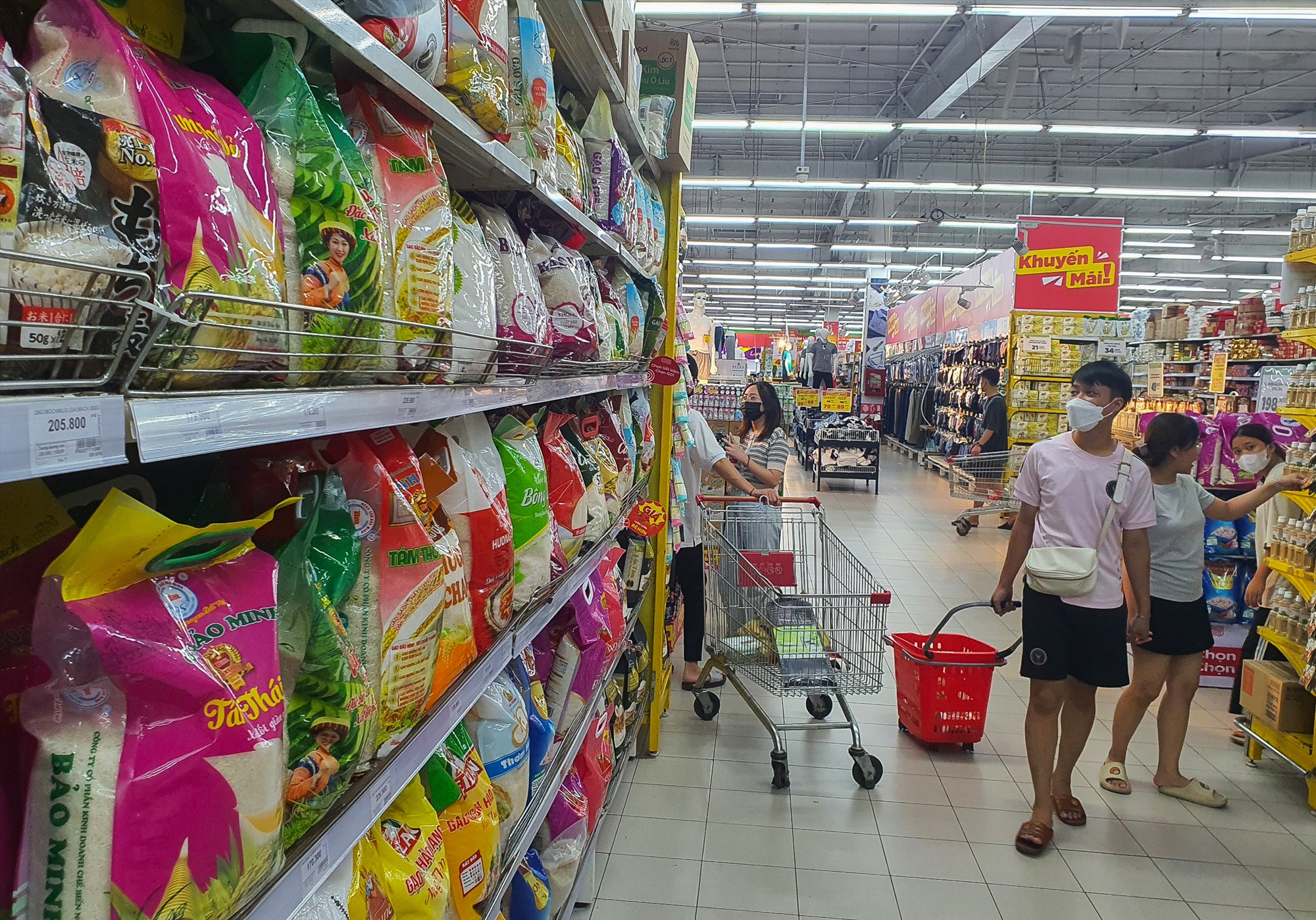 Chỉ sau hai ngày, giá gạo xuất khẩu của Việt Nam giảm tới 15 USD/tấn. Ảnh minh họa: Phan Anh