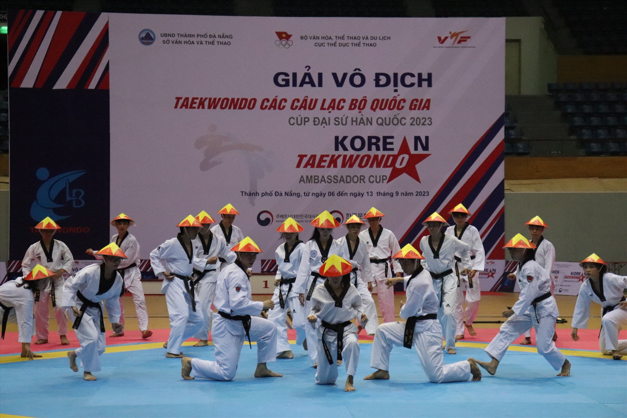 Màn trình diễn võ thuật của các vận động viên Đà Nẵng. Ảnh: Nguyễn Linh
