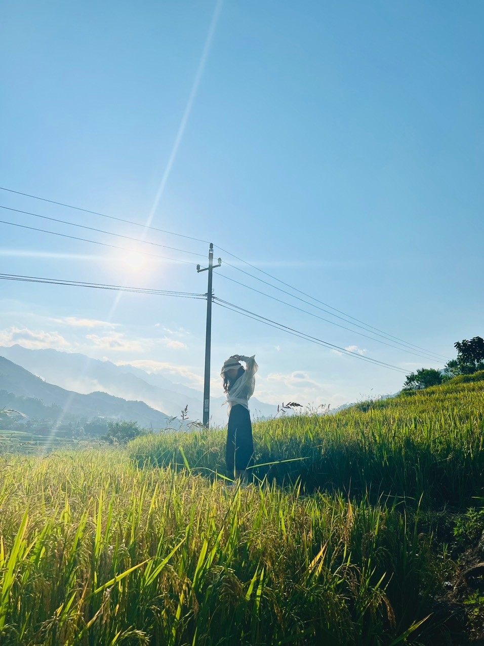 Phương Linh (Hà Nội) có dịp ghé thăm bản Tả Van - Lao Chải mùa lúa chín chia sẻ: “Mình đọc thông tin trên mạng thấy vào bản Tả Van sẽ mất phí 75.000 đồng/người, nhưng khi mình tới lại không thấy bán vé cả. Mình thoải mái dạo chơi trong bản, ghé thăm nhiều địa điểm nổi tiếng như bãi đá cổ, cầu treo Tả Van...”