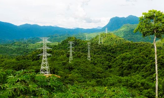 Nhiều dự án truyền tải điện qua rừng gặp khó khăn. Ảnh: EVN