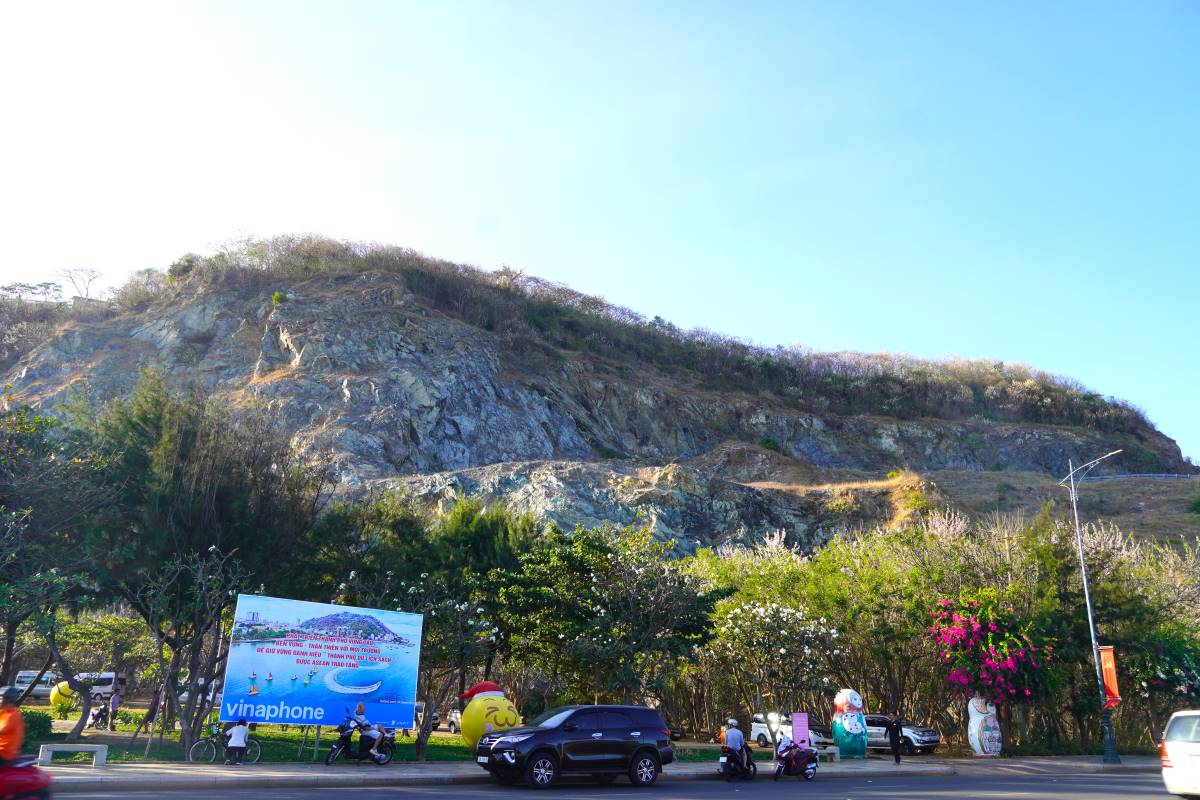 Khu vực núi Tao Phùng tràn ngập hoa anh đào cả trên đỉnh núi và công viên Tao Phùng bên dưới. Ảnh: Thành An