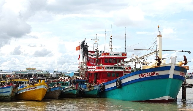 Chủ tịch UBND tỉnh Cà Mau đề nghị sớm lặp lại trật tự trả lại bình yên cho biển cả. Ảnh: Nhật Hồ