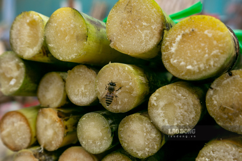 Tại Quảng Hoà còn một làng nghề truyền thống đường phên Bó Tờ, đường phên này được làm từ chính những cây mía trồng tại địa phương. Ảnh: Tân Văn.