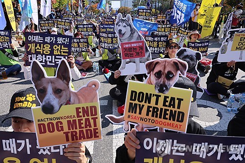 Hàn Quốc thông qua dự luật cấm bán thịt chó. Ảnh: Yonhap