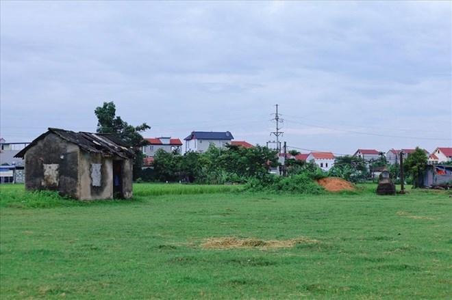 Diện tích quy hoạch làm dự án trường đua ngựa ở Sóc Sơn, ảnh chụp tháng 6.2022. Ảnh: Nguyễn Thúy