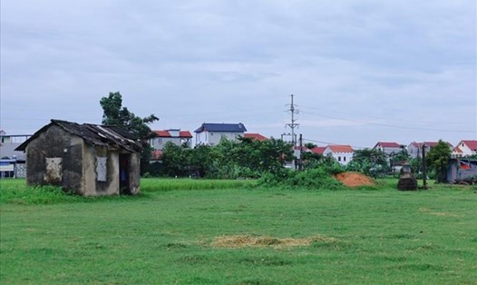 Diện tích quy hoạch làm dự án trường đua ngựa ở Sóc Sơn, ảnh chụp tháng 6.2022. Ảnh: Nguyễn Thúy