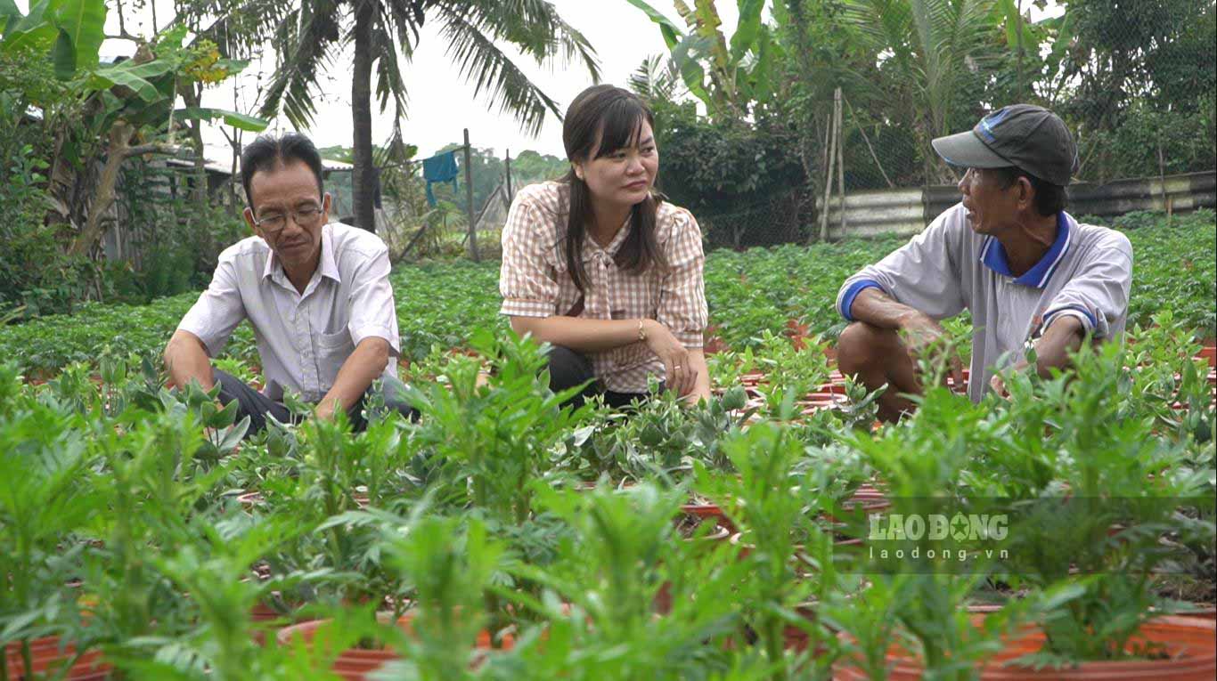 Hội Nông dân xã Minh Hòa đi nắm tình hình các hộ trồng hoa ở ấp An Khương. Ảnh: Nguyên Anh