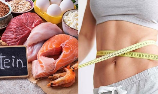 Những lợi ích mà protein có thể giúp bạn giảm cân. Đồ họa: Hương Giang