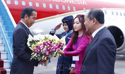 Lễ đón Tổng thống Indonesia Joko Widodo tại sân bay Nội Bài. Ảnh: TTXVN