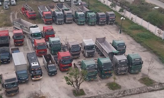 Cơ quan chức năng Nghệ An tạm giữ 30 xe ôtô liên quan vụ án Nguyễn Kim Tiến để phục vụ điều tra. Ảnh: Văn Hậu