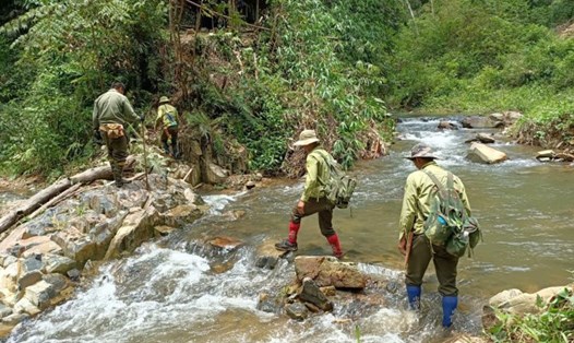 Lực lượng chức năng ở Đắk Nông tăng cường tuần tra, quản lý bảo vệ rừng. Ảnh: Phan Tuấn