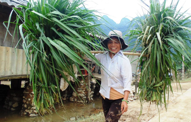 Minh Hoá là địa bàn biên giới, đời sống người lao động còn rất nhiều khó khăn. Ảnh: Lê Phi Long