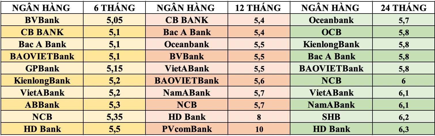 Tổng hợp các ngân hàng có lãi suất cao nhất thị trường hiện nay. Đồ hoạ: Tuyết Lan