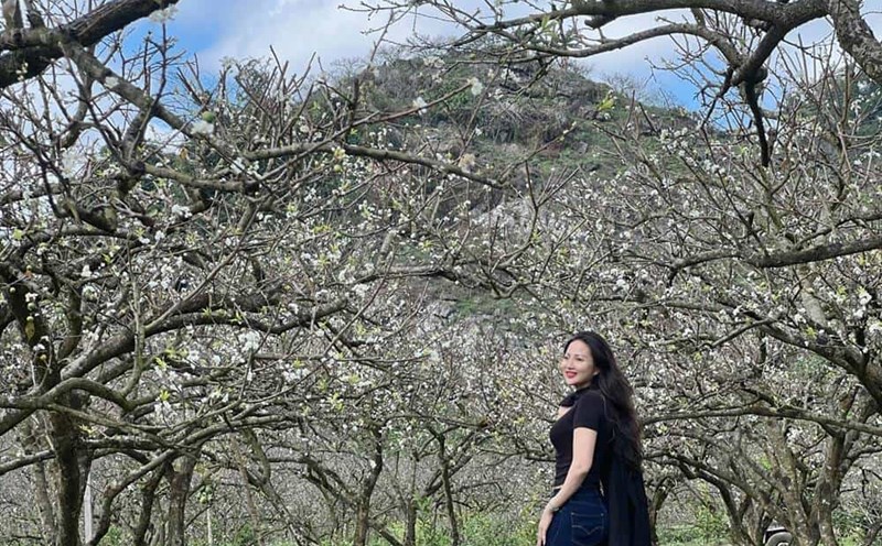 Ở Mộc Châu, Sơn La hoa mận nở rộ khắp các thung lũng, bản làng… ngày đầu xuân. Ảnh: NVCC.