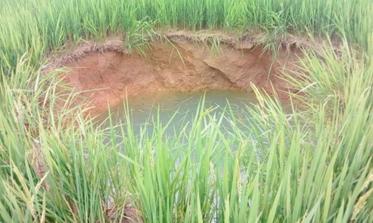 Sụt lún đất ở ruộng lúa, tạo thành hố sâu ở huyện Cam Lộ vào năm 2019. Ảnh: AV.