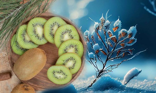 Kiwi là nguồn cung cấp chất xơ tuyệt vời và các chất dinh dưỡng cần thiết cho cơ thể. Ảnh AI - Thiện Nhân