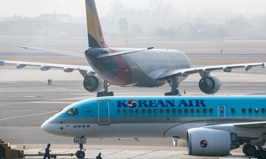 Một máy bay của Korean Air. Ảnh minh họa: Xinhua