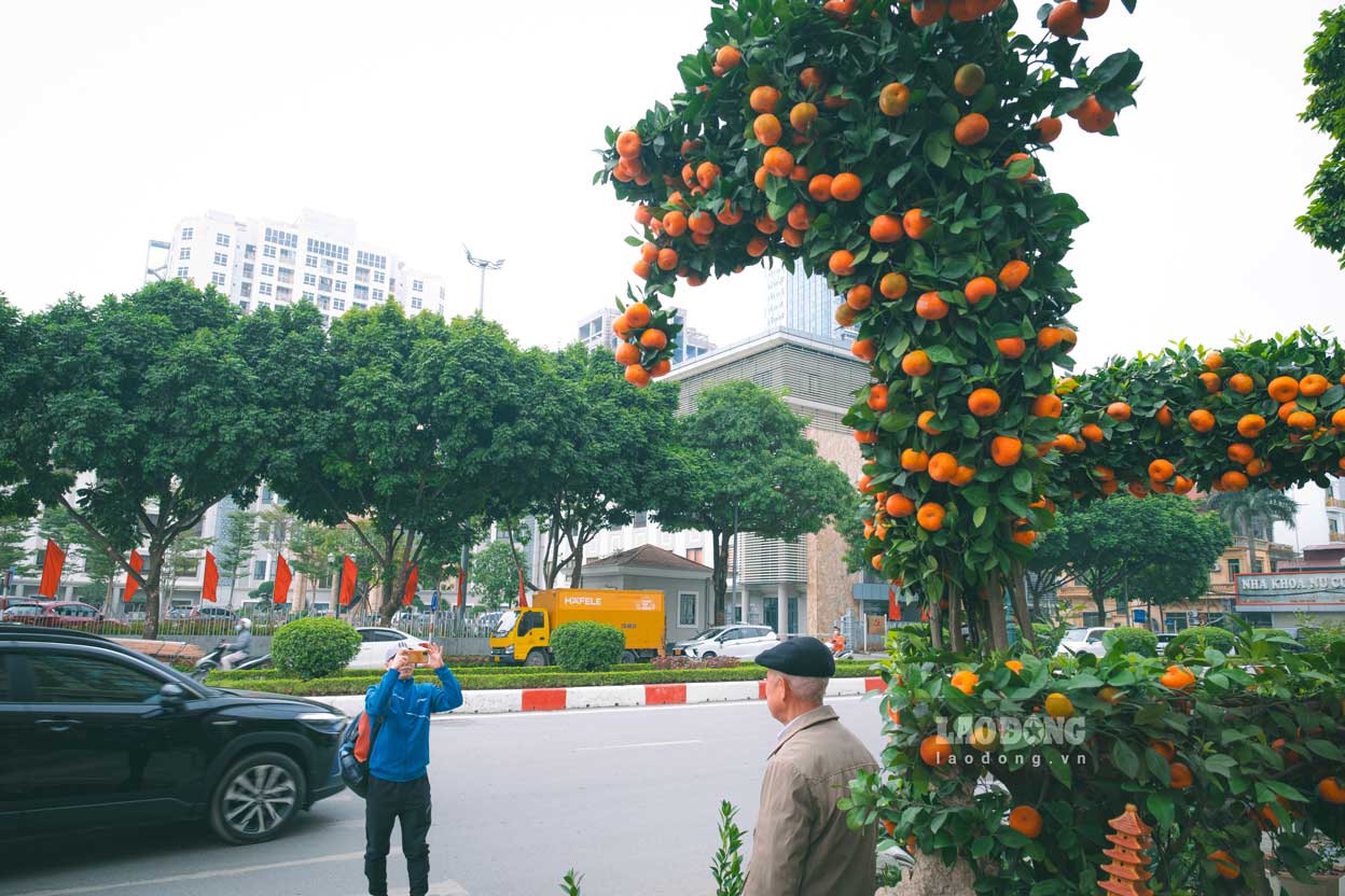 “Tôi đang đi chọn quất cho gia đình chơi Tết năm nay, nhìn thấy đôi rồng này quá ấn tượng, tôi phải đứng lại để ngắm nghía sự tinh tế, công phu của sản phẩm này.” - Ông Tô Minh Kiển (Chương Mỹ, Hà Nội) trầm trồ chia sẻ.