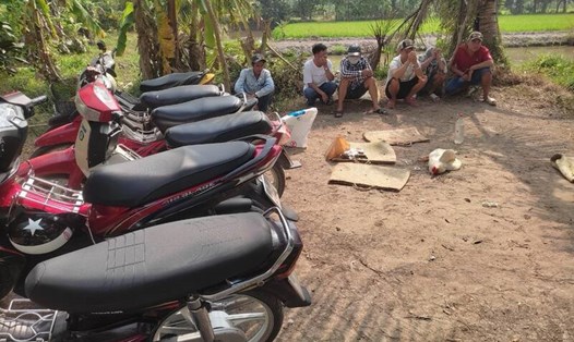 Nhóm đối tượng tụ tập đá gà ăn thua bằng tiền bị Công an bắt quả tang tại huyện Tam Bình, tỉnh Vĩnh Long. Ảnh: Công an cung cấp. 