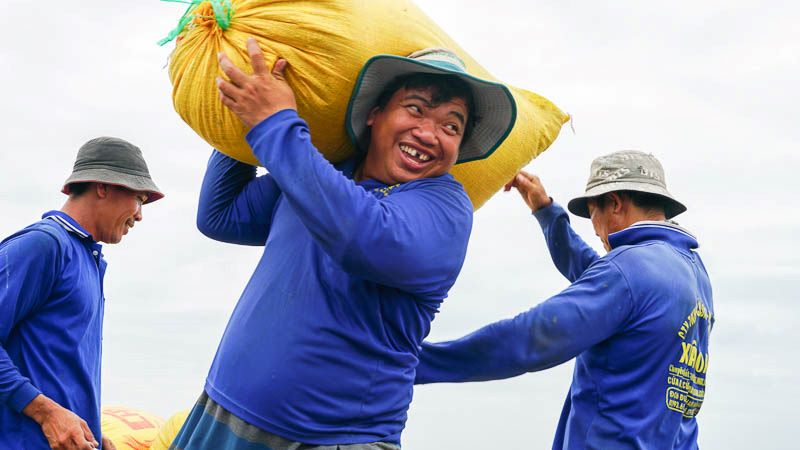 Nông dân Phạm Hoàng Trân ở xã Long Đức (Long Phú, Sóc Trăng) cho hay từ khi gạo ST25 đạt giải Gạo ngon nhất thế giới vào năm 2019, ông chọn giống lúa này để trồng, nhờ giá trị kinh tế nên thu nhập cũng tăng lên nên có điều kiện để xây dựng nhà cửa khang trang.