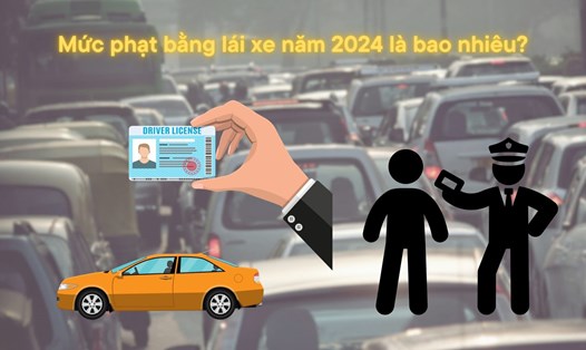 Năm 2024 đi ra đường không mang bằng lái xe bị phạt bao nhiêu tiền?
