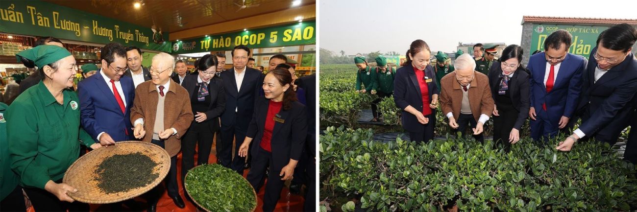 Tổng Bí thư Nguyễn Phú Trọng thăm vườn chè, khu vực trưng bày sản phẩm và chế biến chè của Hợp tác xã Hảo Đạt, thành phố Thái Nguyên (tỉnh Thái Nguyên). 