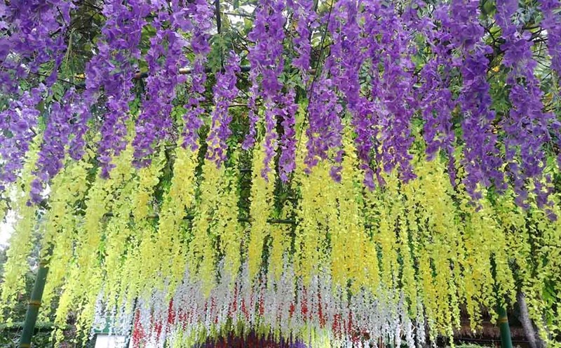 Khu di tích quốc gia đặc biệt Kim Liên rực rỡ sắc hoa. Ảnh: Quang Đại