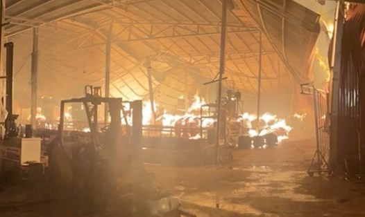 Vụ cháy cơ sở chế biến gỗ tại huyện Thanh Sơn sáng 20.1. Ảnh: CTV