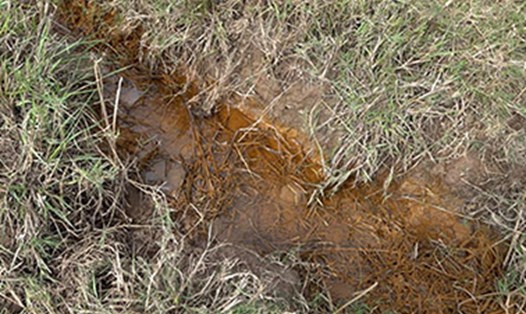 Đất nhiễm mặn tại xã Hải Tiến, TP Móng Cái, tỉnh Quảng Ninh. Ảnh: Đoàn Hưng