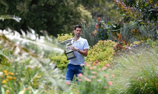 Novak Djokovic có một "người bạn" đặc biệt ở Vườn Bách thảo Hoàng gia tại Melbourne, Australia. Ảnh: CNN
