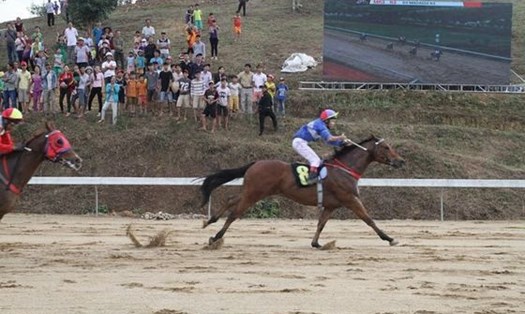 Lâm Đồng cho phép chuyển mục đích sử dụng đất để thực hiện dự án Trường đua ngựa, đua chó Thiên Mã - Madagui - Câu lạc bộ Polo và ngựa biểu diễn. Ảnh: Trịnh Chu

