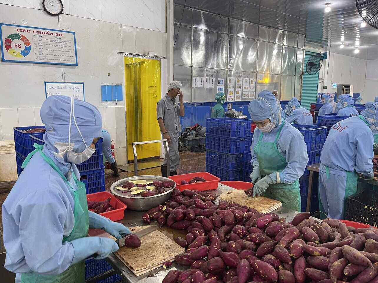 Liên đoàn Lao động tỉnh Lâm Đồng triển khai nhiều hoạt động thiết thực chăm lo cho người lao động. Ảnh: Mai Hương