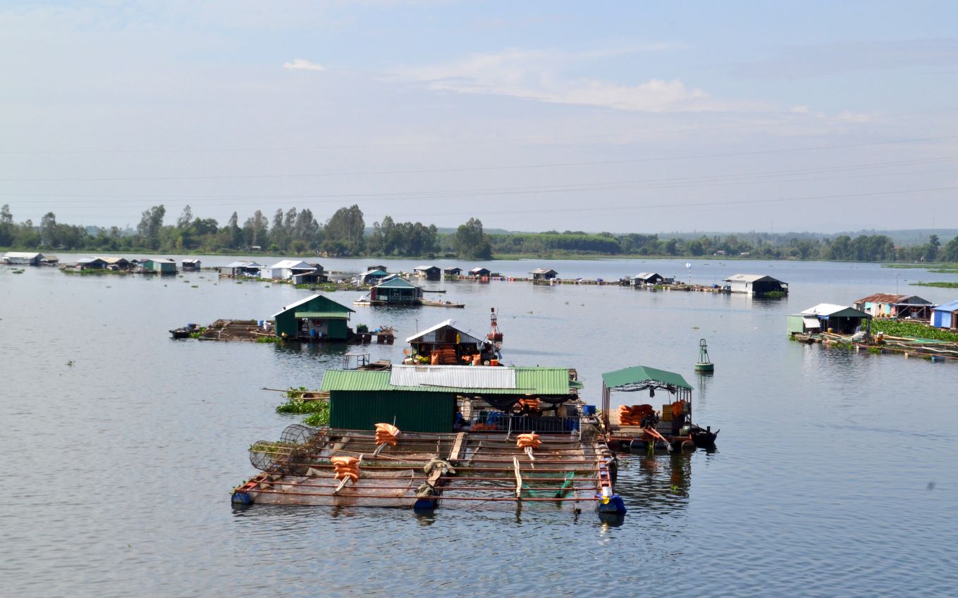 Theo nhiều chuyên gia môi trường, việc đổ thuốc bảo vệ thực vật bắt tôm trên sông Đồng Nai không chỉ hủy diệt dã man nguồn thủy sản, mà còn đầu độc 20 triệu dân trong lưu vực. Ảnh: Lục Tùng