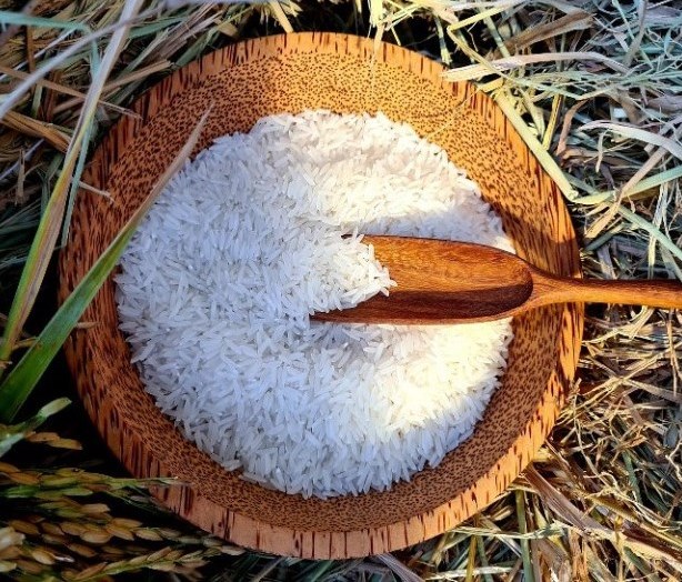 Giá gạo Việt Nam cao nhất trong các nước xuất khẩu gạo truyền thống, nhưng gạo Việt vẫn được doanh nghiệp nước ngoài tìm mua nhiều. Ảnh: Vũ Long