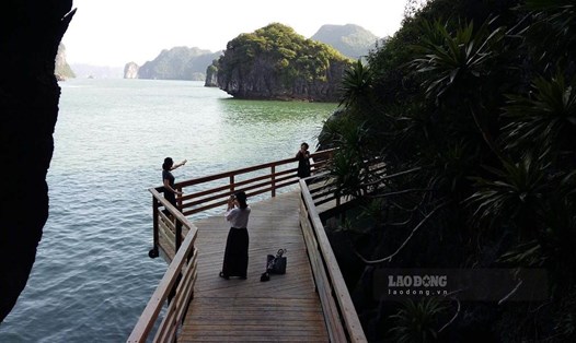 Đảo Soi Sim, vịnh Hạ Long. Ảnh: Nguyễn Hùng