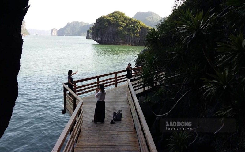 Đảo Soi Sim, vịnh Hạ Long. Ảnh: Nguyễn Hùng