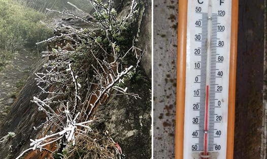 Nhiệt độ được ghi nhận tại đỉnh núi Phia Oắc (xã Thành Công, huyện Nguyên Bình, tỉnh Cao Bằng) dao động từ -2 đến -5 độ C. Ảnh: HLX Cao Bằng.