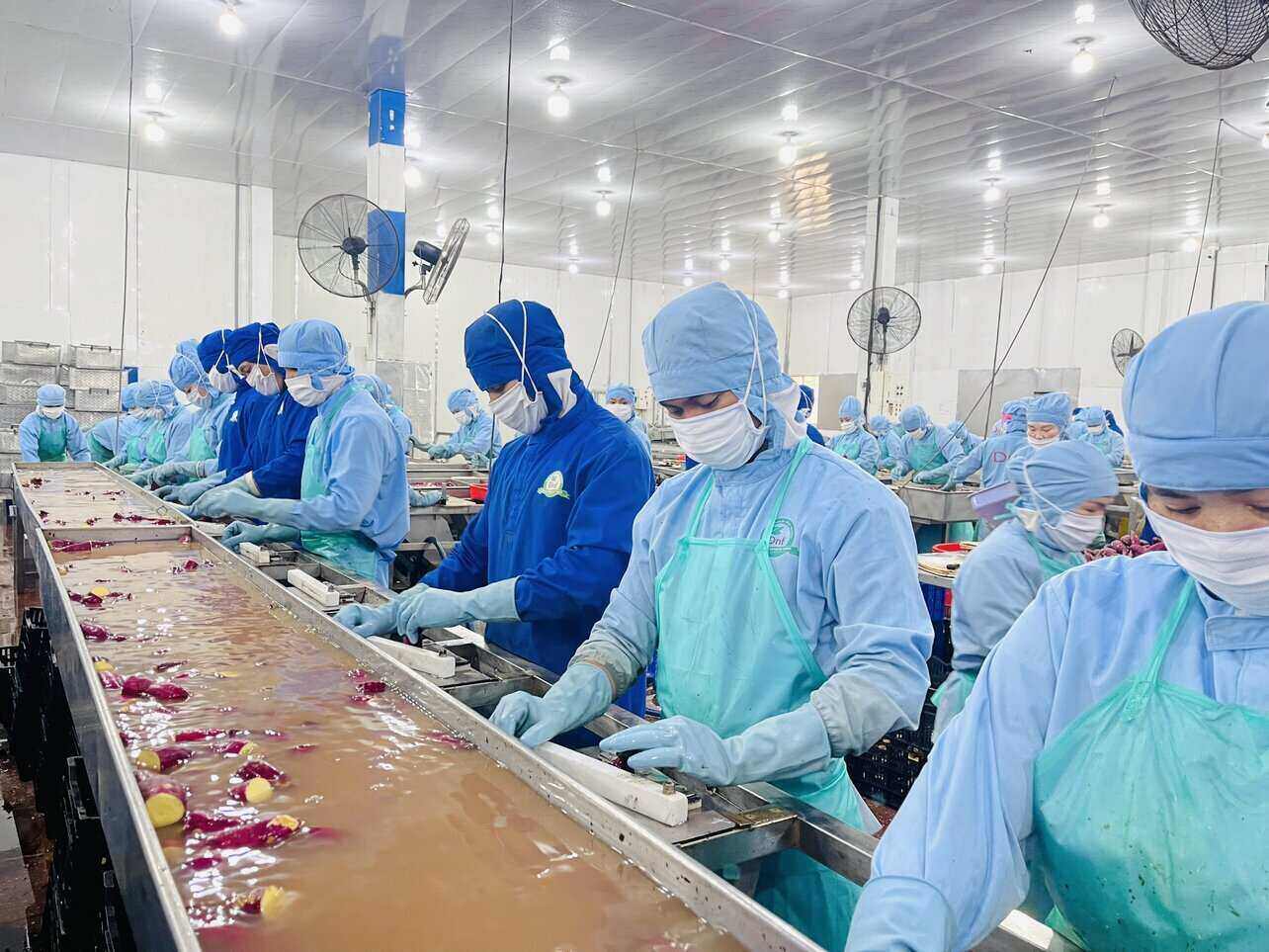 Nhiều doanh nghiệp trên địa bàn tỉnh Lâm Đồng đã công khai tiền thưởng Tết cho người lao động. Ảnh: Mai Hương