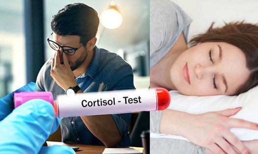 Cortisol được tiết ra bởi tuyến thượng thận, kết hợp với các cơ quan khác ở não bộ nhằm kiểm soát tâm trạng, động lực sống và nỗi sợ hãi của con người. Đồ hoạ: Phương Anh