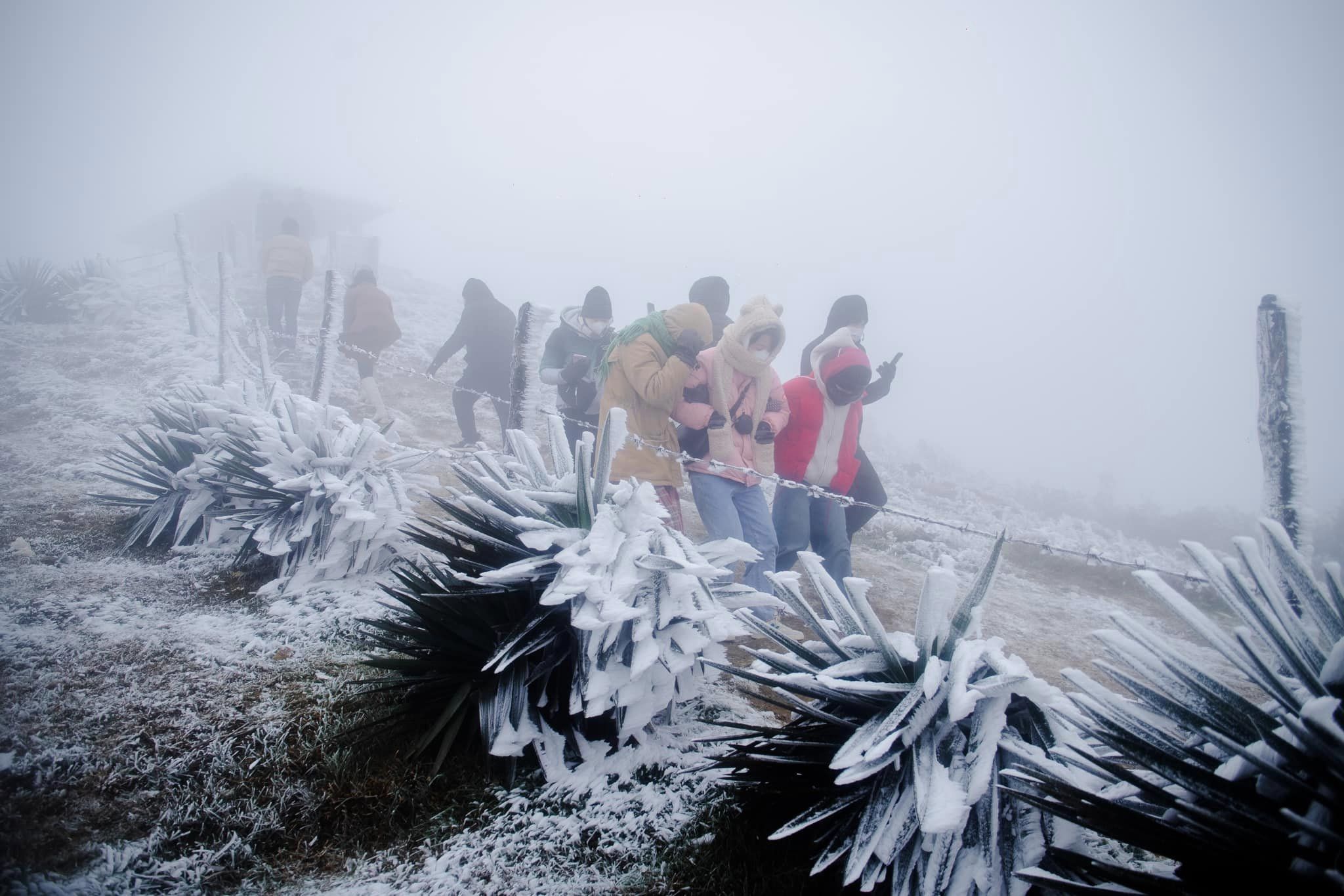 Sáng 23.1, du khách Trần Công Minh chia sẻ, nhiệt độ đo được là -0,9 °C và vẫn duy trì giảm sâu trong 2-3 ngày kế tiếp. Ảnh: Trần Công Minh