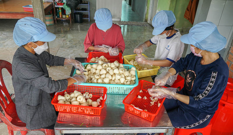 Xuất phát từ việc nguồn nguyên liệu mận trắng ở địa phương nhiều nhưng bán không được giá, chị Huỳnh Thị Ngọc Hạnh ở xã Mỹ Thuận (huyện Mỹ Tú, tỉnh Sóc Trăng) đã dùng mận để chế biến thành món mứt độc đáo, thơm ngon.