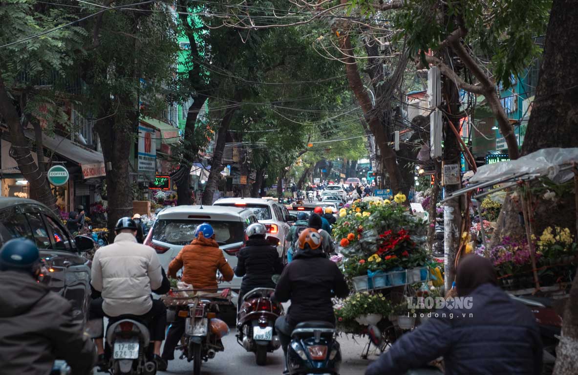 Tại khu vực chợ hoa trên đường Hoàng Hoa Thám, lượng người đổ về đây mua cây lớn nên tuyến đường liên tục xảy ra ùn tắc.